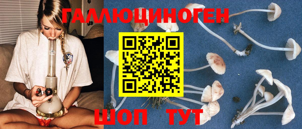 Псилоцибиновые грибы ЛСД Сокол