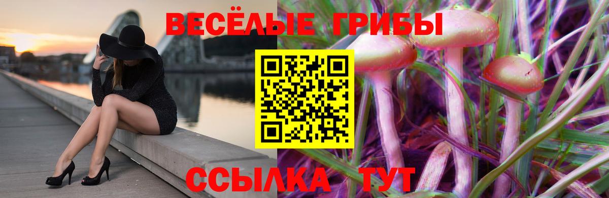 Псилоцибиновые грибы ЛСД  купить наркотик  Сокол  Галлюциногенные грибы прущие грибы  Вход с VPN 